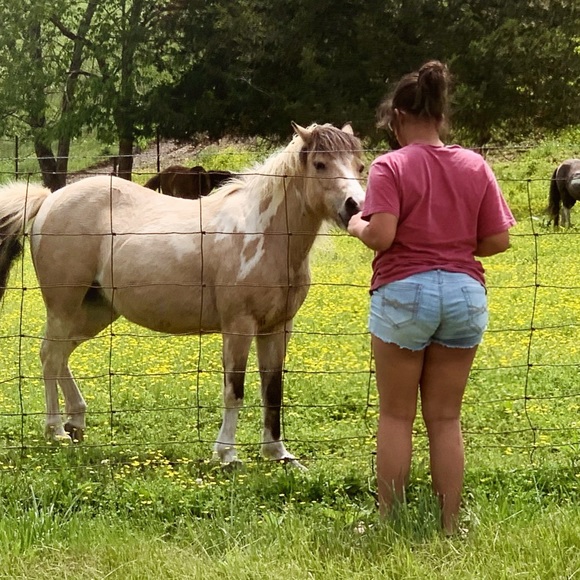 Meet your Posher, Chelsea - Picture 6 of 16